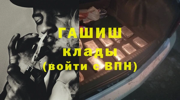 дживик Бородино