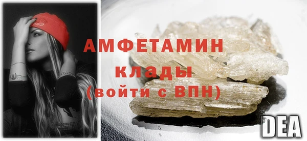 шишки Верея