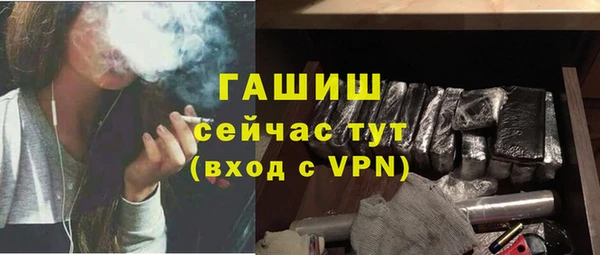 прущие грибы Бронницы