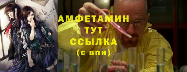 шишки Верея
