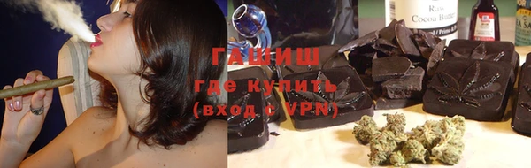 дживик Бородино