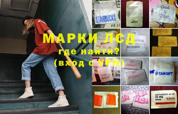 шишки Верея