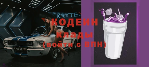 прущие грибы Бронницы