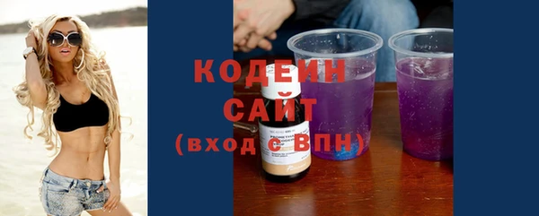 шишки Верея