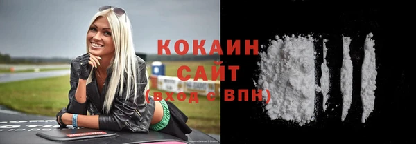 дживик Бородино