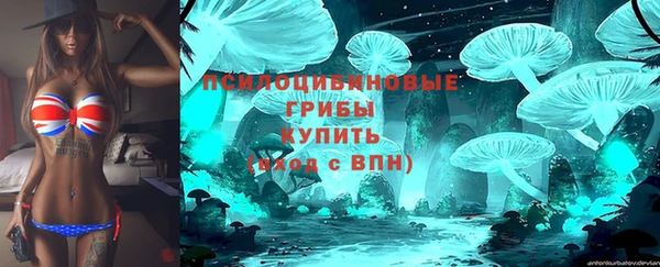 молекула духа Каменск-Шахтинский