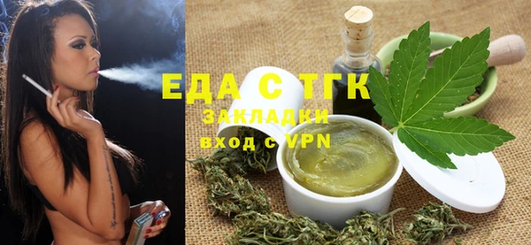 дживик Бородино