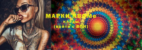 прущие грибы Бронницы