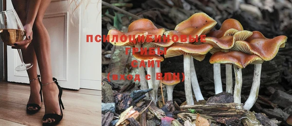бутират Бугульма