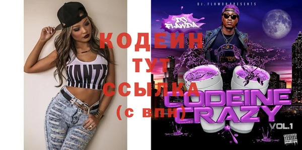 шишки Верея