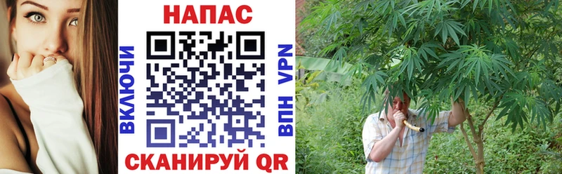 хочу   Верхняя Пышма  Шишки марихуана индика 